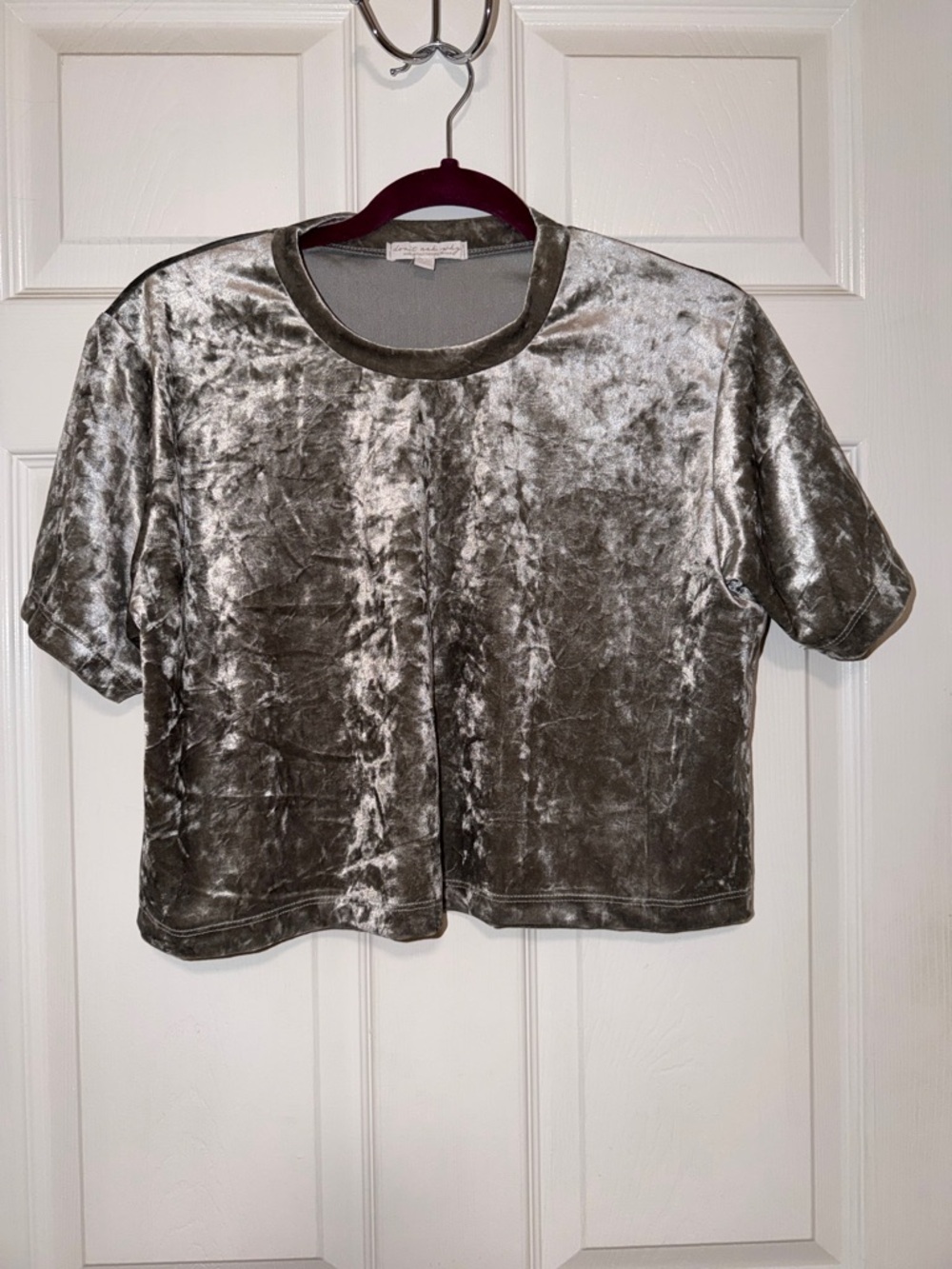 Don’t Ask Why Velvet Short-Sleeve Boxy Crop Top - Silver OS